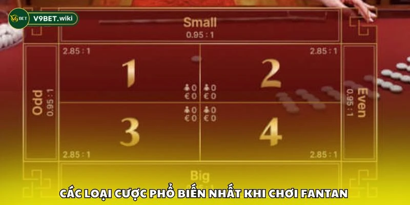 Các loại cược phổ biến nhất khi chơi Fantan