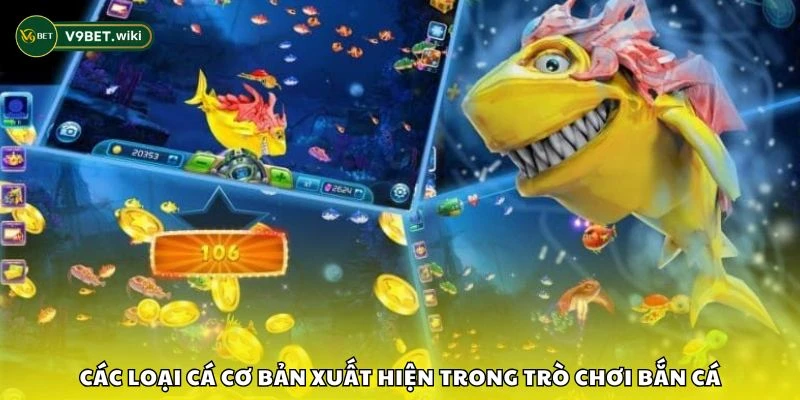 Các loại cá cơ bản xuất hiện trong trò chơi bắn cá